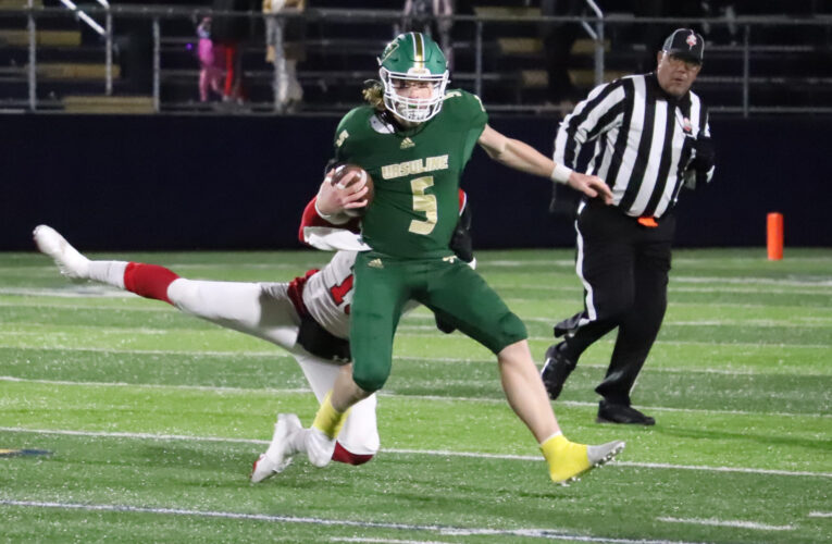 Coming home: Former Ursuline star Brady Shannon changes sports, transfers to Youngstown State